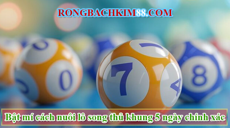 Bật mí cách nuôi lô song thủ khung 5 ngày chính xác