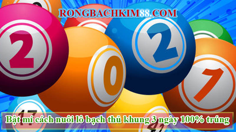 Cách nuôi lô bạch thủ khung 3 ngày 100% trúng