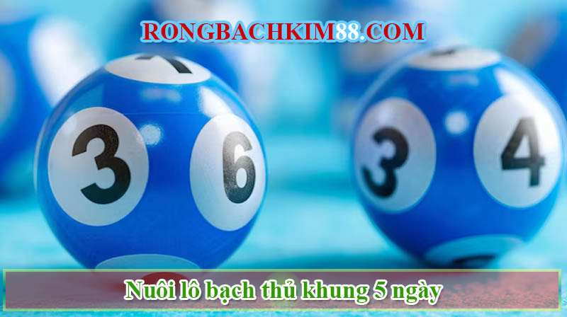 Khái niệm lô bạch thủ khung 5 ngày là gì