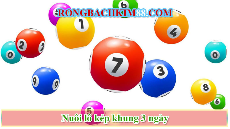 Khái niệm nuôi lô kép khung 3 ngày chính xác nhất