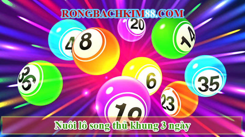 Nuôi lô song thủ khung 3 ngày khái niệm dễ hiểu nhất