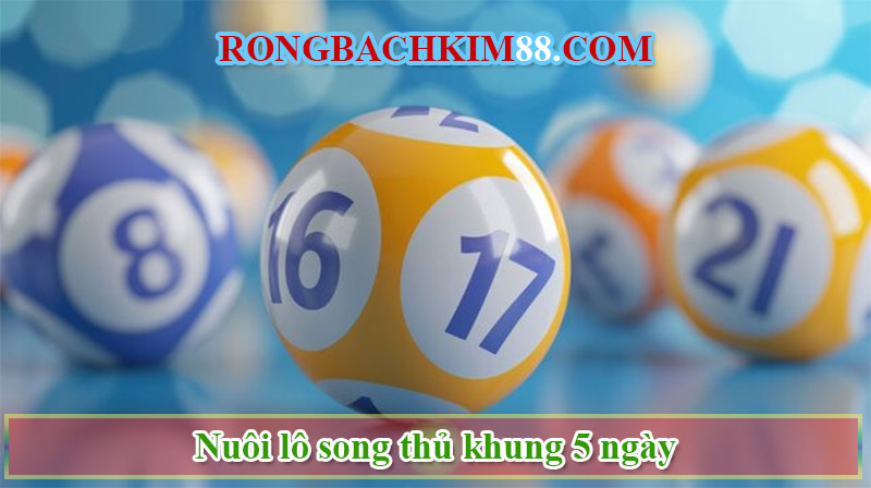 Nuôi lô song thủ khung 5 ngày là gì