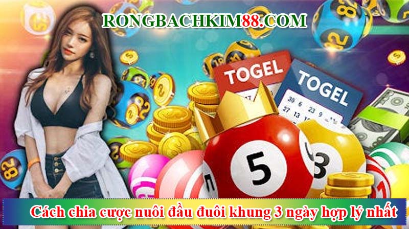 Cách chia cược nuôi đầu đuôi khung 3 ngày hợp lý nhất