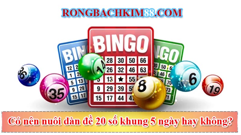 Có nên nuôi dàn đề 20 số khung 5 ngày hay không