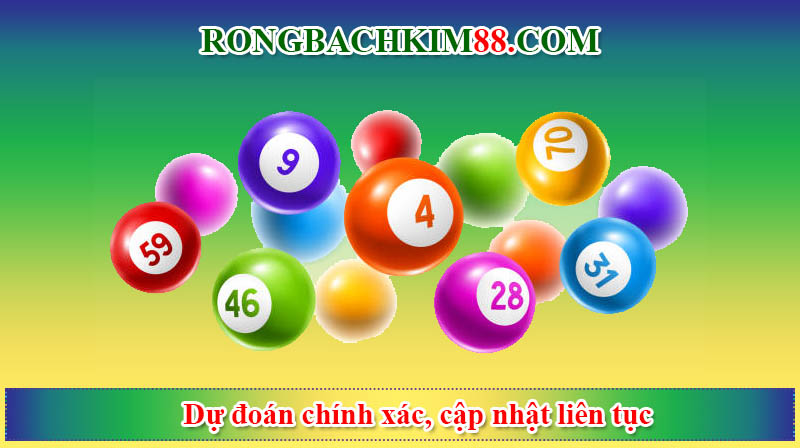 Dự đoán chính xác, cập nhật liên tục