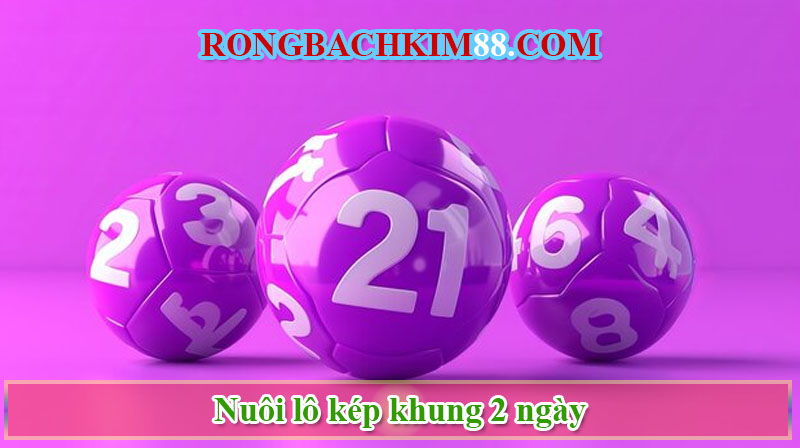 Khái niệm lô kép nuôi khung 2 ngày chuẩn nhất