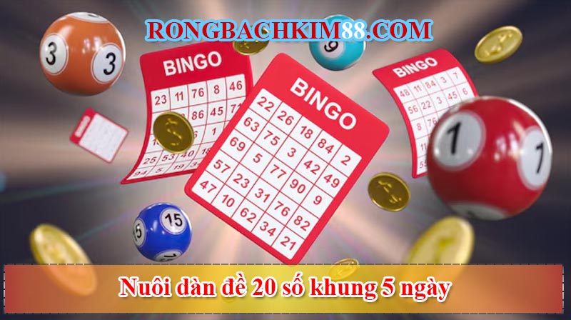 Khái niệm nuôi dàn đề 20 số khung 5 ngày là gì