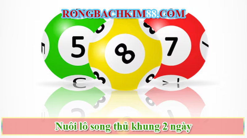 Khái niệm nuôi lô song thủ 2 ngày dễ hiểu nhất