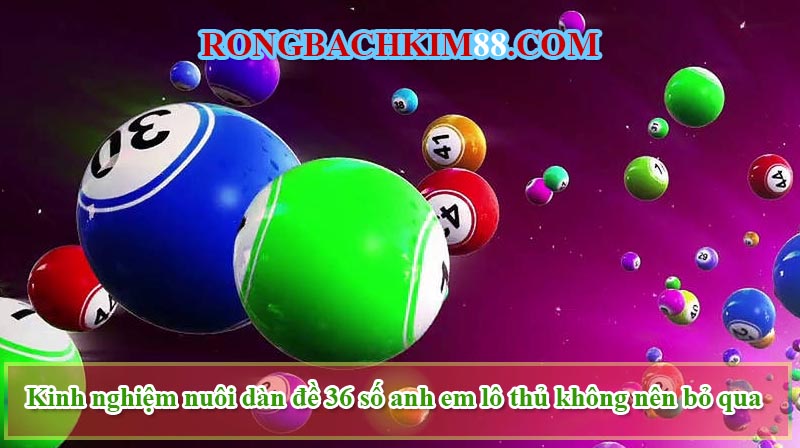 Kinh nghiệm nuôi dàn đề 36 số anh em lô thủ không nên bỏ qua