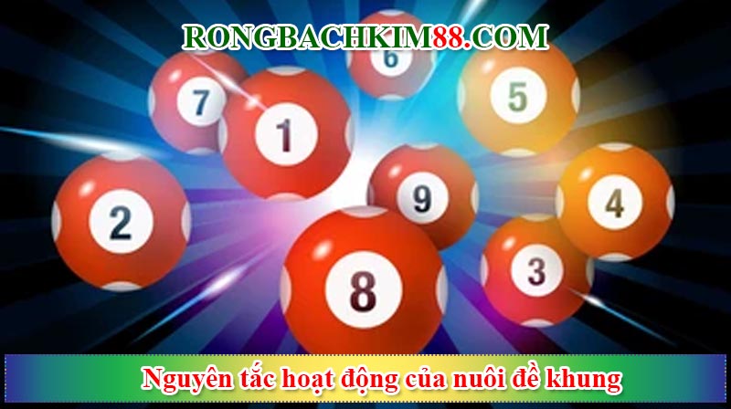 Nguyên tắc hoạt động của nuôi đề khung