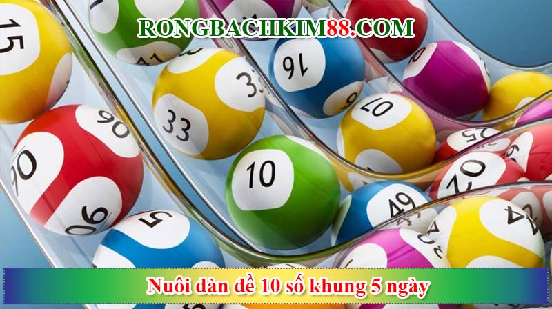 Nhận định về chiến thuật nuôi dàn đề 10 số khung 5 ngày