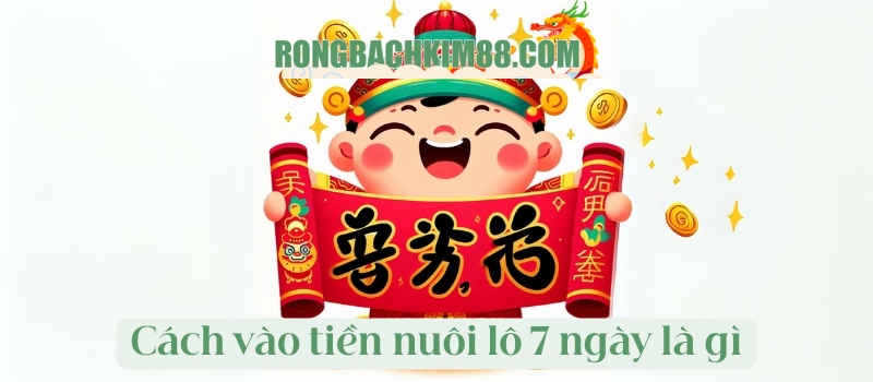 Cách vào tiền nuôi lô 7 ngày là phương pháp gì