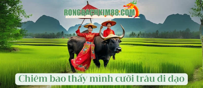 Chiêm bao thấy mình cưỡi trâu đi dạo