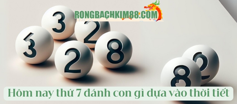 Hôm nay thứ 7 đánh con gì dựa vào thời tiết trong ngày