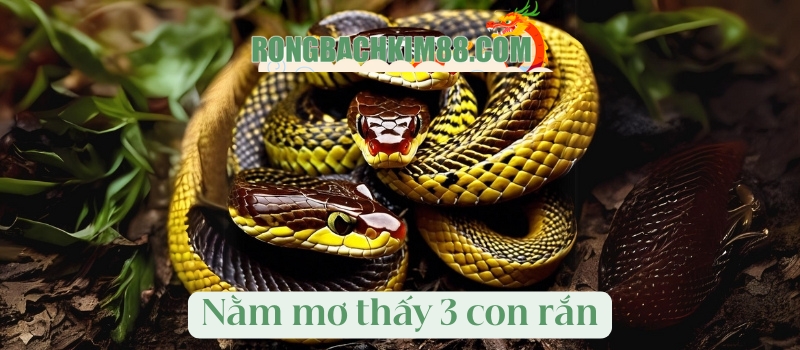 Nằm mơ thấy 3 con rắn