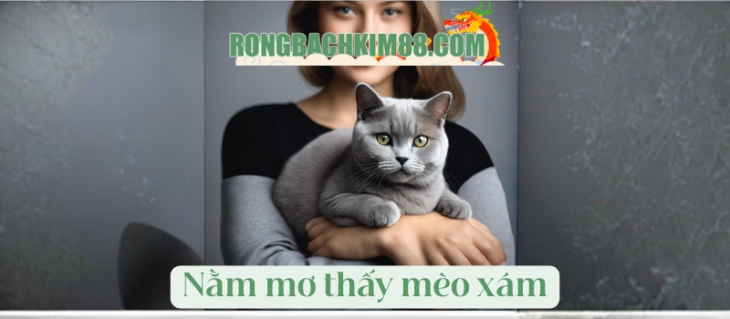 Nằm mơ thấy mèo xám