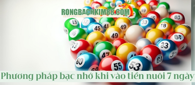 Phương pháp bạc nhớ khi vào tiền nuôi lô 7 ngày