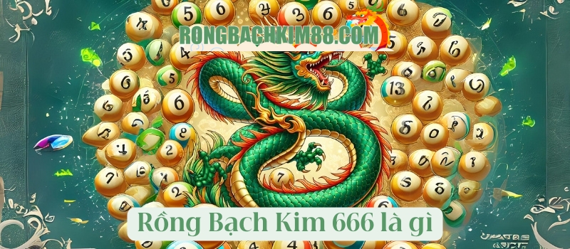 Rồng Bạch Kim 666 là gì