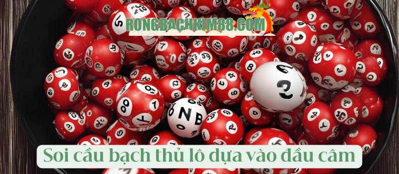 Soi cầu bạch thủ lô đẹp nhất dựa vào đầu lô câm