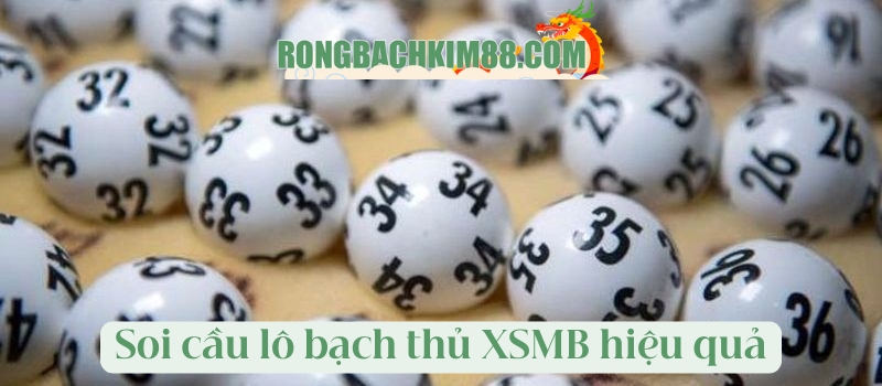 Soi cầu lô bạch thủ dựa vào XSMB hiệu quả