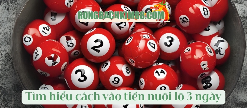 Tìm hiểu cách vào tiền nuôi lô 3 ngày