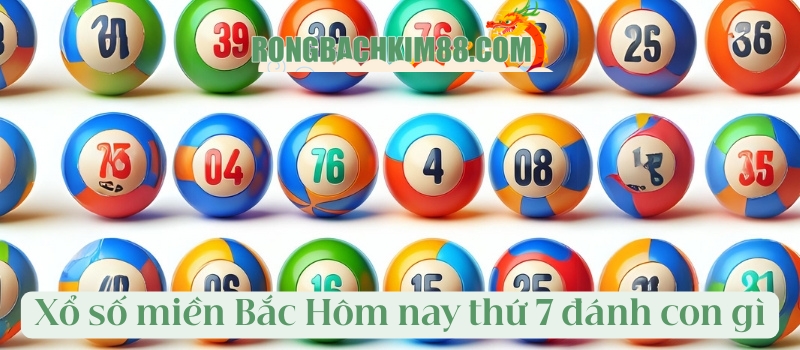 Xổ số miền Bắc - Hôm nay thứ 7 đánh con gì