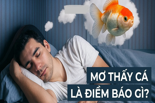 mơ thấy cá đánh con gì hôm nay