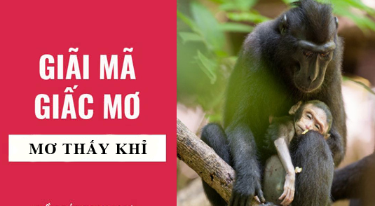 mơ thấy khỉ đánh con gì hôm nay